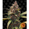 Ayahuasca Purple - Barney´s Farm Balenie: 5ks