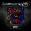 CD St. Elmo's Fire: Desperate Years LTD | NUM