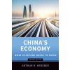 China's Economy (Brožovaná)