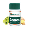 Himalaya Gasex 100 tabliet