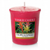 Yankee Candle Tropical Jungle 49 g
