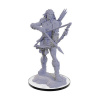 Pathfinder Miniatures - Wood Giant, 6 cm