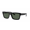 Ray-Ban RB4396 WARREN 667771