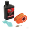 Briggs & Stratton Servisná sada B&S, rada 700/750 DOV