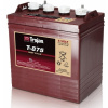 Trojan T 875 (4/6 GIS 139) 8 V 170 Ah