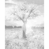 ZUTY Bodkovanie - SVITANIE Rámovanie: vypnuté plátno na rám, Rozmer: 40x50 cm
