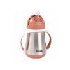 Beaba Hrnček termoizolačný so slamkou nerez 250ml Variant: Terracotta