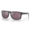 OAKLEY HOLBROOK OO9102 B5