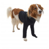 Buster Oblek ochranný Body Dog predné nohy S 42 cm