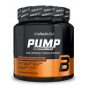 Pump - Biotech USA 330 g Lemon Ice Tea