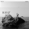 Delta Spirit - What is There / Vinyl / Limited [LP]