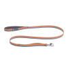 Vodítko pre psy Ruffwear Front Range Dog Lead-Spring-Fade