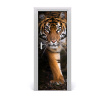 Fototapeta samolepiace na dvere tiger 75x205
