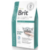 Brit Diety (VAFO Praha s.r.o.) Brit GF Veterinary Care Cat Sterilised 5kg