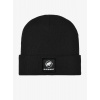 Zimná čiapka Mammut Fedoz Beanie - black