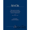 Škola smyčcové techniky op. 2, sešit 2 - Otakar Ševčík, Jaroslav Foltýn (Editor)