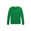 Detský bavlnený sveter Polo Ralph Lauren 323702674502 zelená 140-149