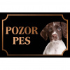 Drentský prepeličiar - Kovová tabuľka POZOR PES