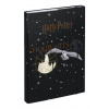 BAAGL Desky na školní sešity A4 Harry Potter Bradavice Erb