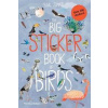 The Big Sticker Book of Birds - autor neuvedený