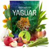 Yerba Mate Yaguar Pera Gruszka 0.5 kg 500 g