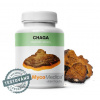 MycoMedica Chaga 90 kapsúl