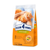 CLUB 4 PAWS Premium pre dospelé mačky s králikom 2 kg (9160)