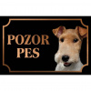 Drsnosrstý foxteriér - Kovová tabuľka POZOR PES