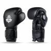 Boxerské rukavice DBX BUSHIDO B-ProFight 10oz.