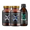 Sada doplňků stravy pro podporu mozku Doplnky stravy pre podporu mozgu - Neurohacker + Vegan Omega 3 + L-Theanine