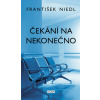Čekání na nekonečno - František Niedl