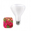 LED žiarovka pre kvitnutie rastlín 12W, E27, IP44
