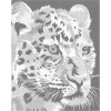 ZUTY Bodkovanie - FAREBNÝ LEOPARD Rámovanie: vypnuté plátno na rám, Rozmer: 80x100 cm