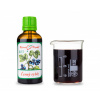 Černý rybíz plod BIO - bylinné kapky (tinktura) 50 ml doplněk stravy 50 ml