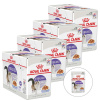 Royal Canin Sterilized Jelly 48 x 85 g