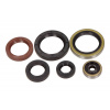 CENTAURO - Sada tesnení motora, olejové tesnenia HUSQVARNA 125 / KTM TC 125 16-17731A669SR 731A669SR