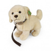 Eco-Friendly pes zlatý retriever stojaci s vodítkom 25 cm