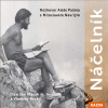 Náčelník - Aleš Palán, Miloslav Nevrlý (mp3 audiokniha)