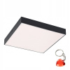 Záhradná fasádna lampa - 24 W TARTS 7900 RABALUX Externá stropná žiarovka (24 W TARTS 7900 RABALUX Externá stropná žiarovka)