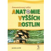 Komentovaný atlas anatomie vyšších rostlin - Jaroslav Jurčák