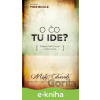 E-kniha O čo tu ide? - Misty Edwards