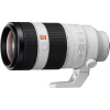 Sony FE 100-400mm f/4.5-5.6 GM OSS (Full Frame, E-Mount)