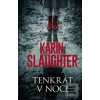 Tenkrát v noci (Karin Slaughter)