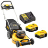 DEWALT DCMW564P2 Kosačka na trávu 2x 18V