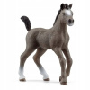 SCHLEICH 13957 Žriebä Cheval de Selle Francaise