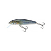 Salmo Minnow Sinking 5cm Spirlin