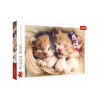 Trefl Puzzle Spiace mačiatka 500 dielikov 48x34cm v krabici 40x26,5x4,5cm