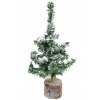 Umelý vianočný stromček Everladns Do 100 cm