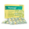 Yomogi cps.dur.20 x 250 mg