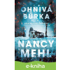 E-kniha Ohnivá búrka - duplicita - Nancy Mehl
